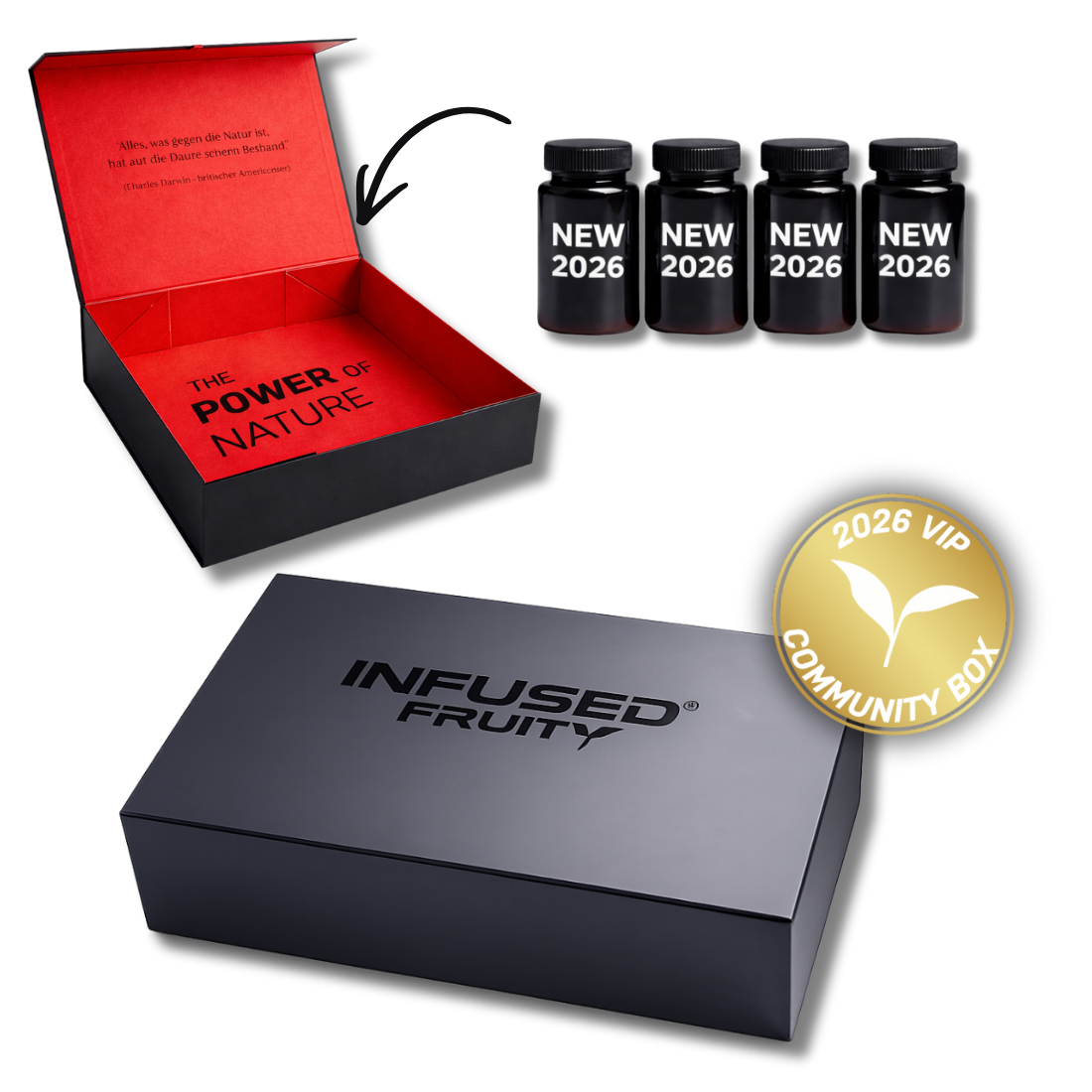 2026 VIP Community Box - Fruity